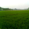 Theni District