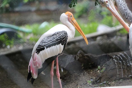 Guindy Childrens Park Holiday
