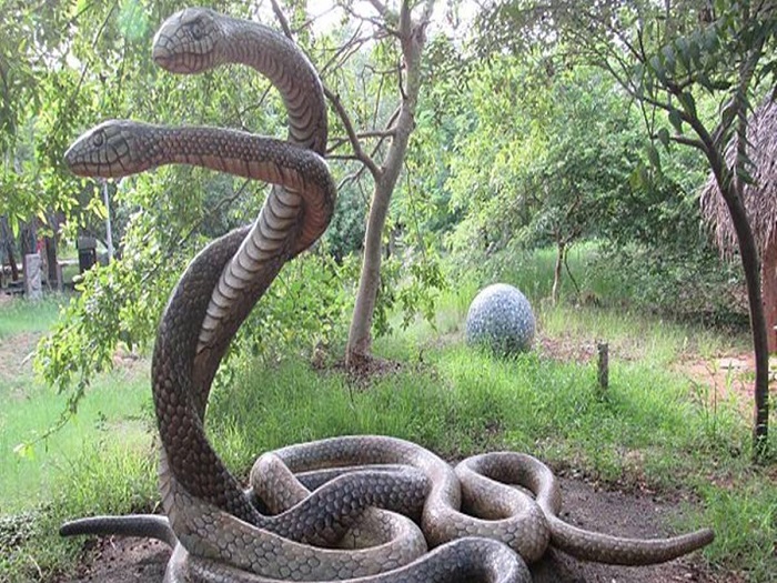 Guindy Snake Park Chennai