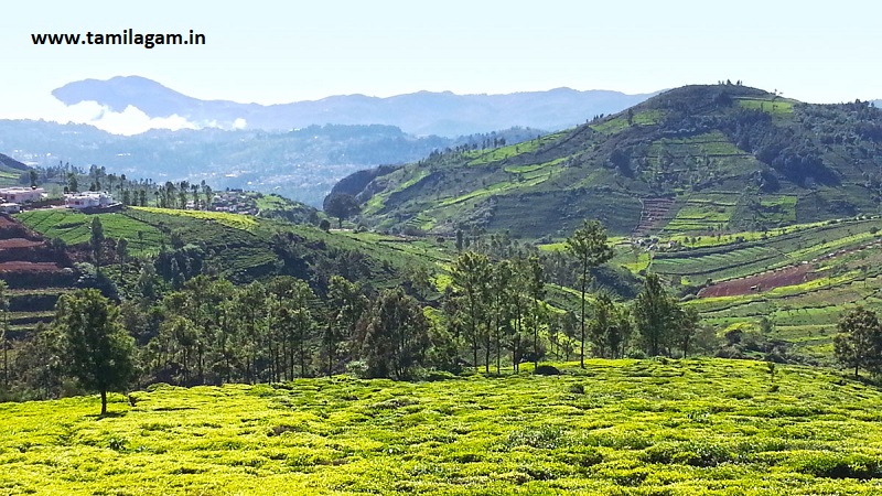 Nilgiris District