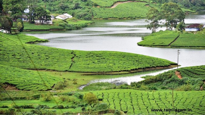 Theni District