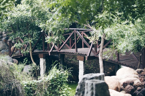 Adyar Ecological Park Chennai