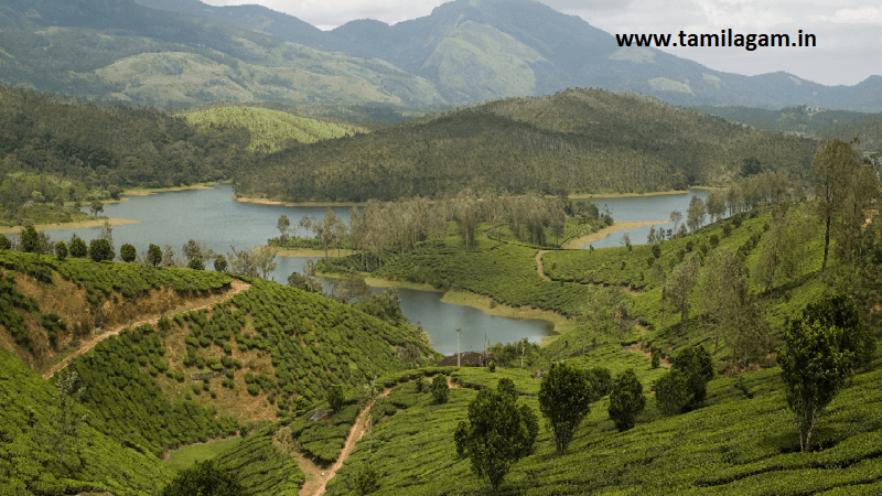 Tirupattur District