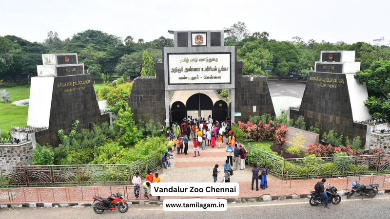 Arignar Anna Zoological Park Chennai